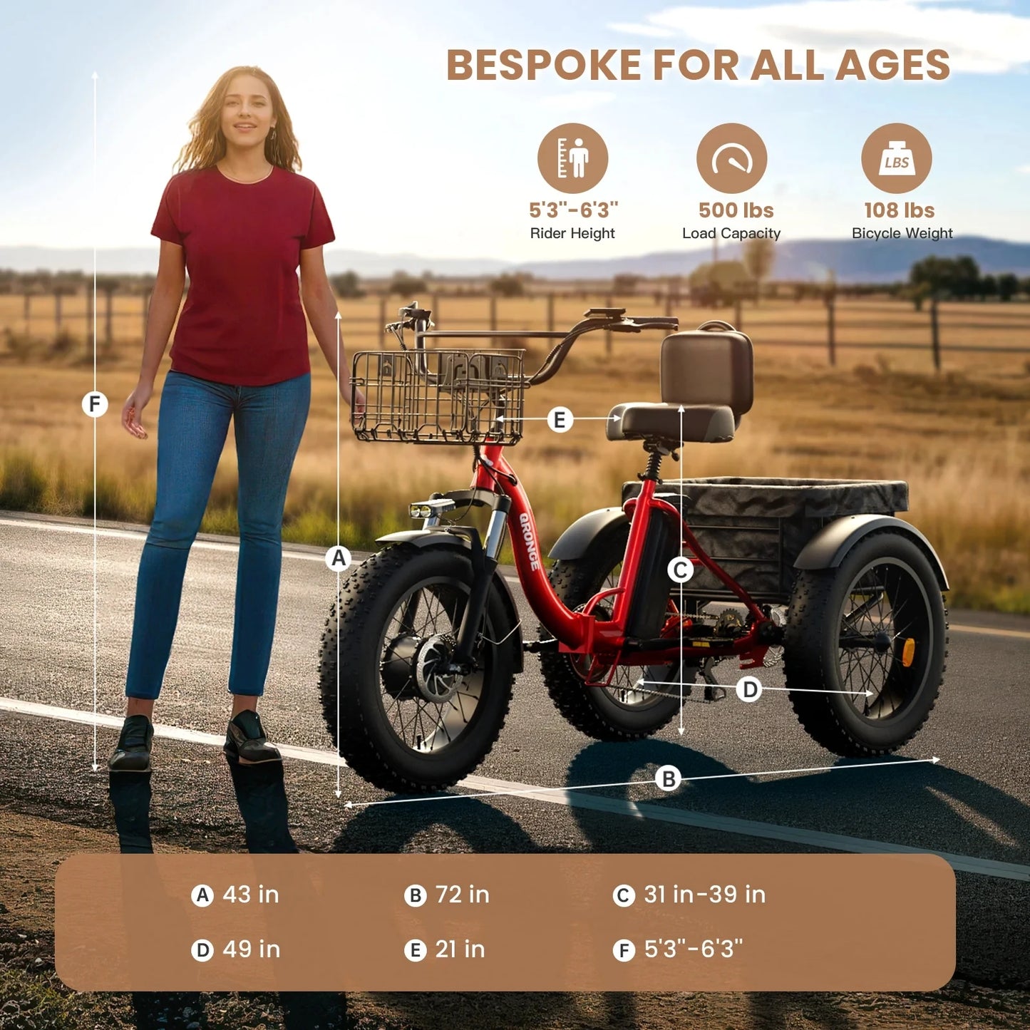 QRONGE 960W Peak Folding Electric Tricycle For Adults