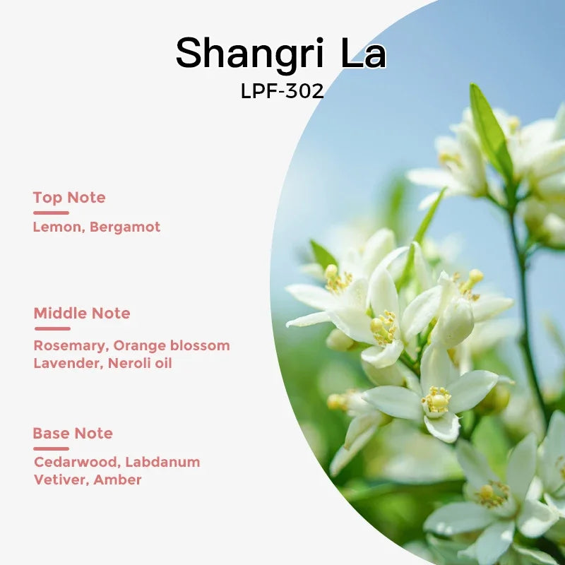 Aroma Tunnel Perfume Essential Oil Air Freshener Diffuser Refill