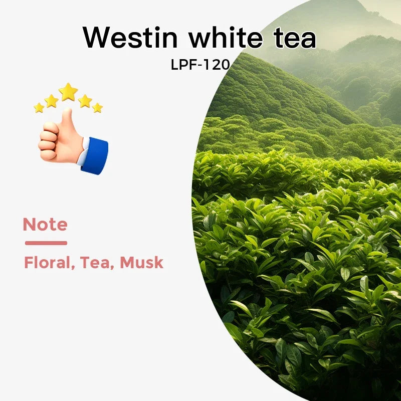 Aroma Tunnel Perfume Essential Oil Air Freshener Diffuser Refill