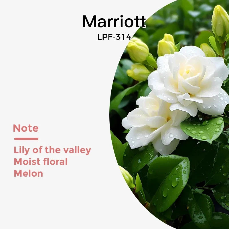 Aroma Tunnel Perfume Essential Oil Air Freshener Diffuser Refill