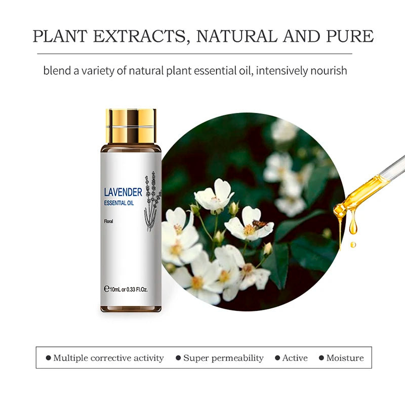 HIQILI Essential Oils Set Pure Lavender Eucalyptus Jasmine Mint